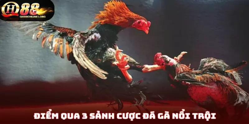 Điểm qua 3 sảnh cược đá gà nổi trội tại nhà cái